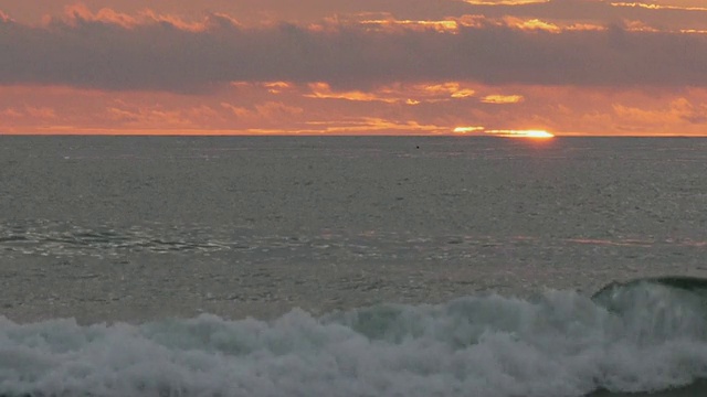 太阳从大西洋上空的云彩后面升起，橙色的阳光，海浪，海豹在水里，云在地平线上，科德角国家海岸，马萨诸塞州视频素材