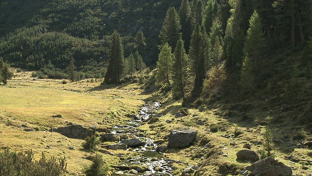 高山流水视频素材