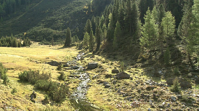 高山流水视频素材