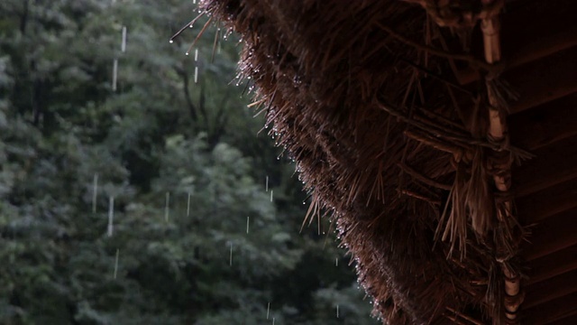 雨水从韩国传统的茅草屋顶滴落下来视频素材