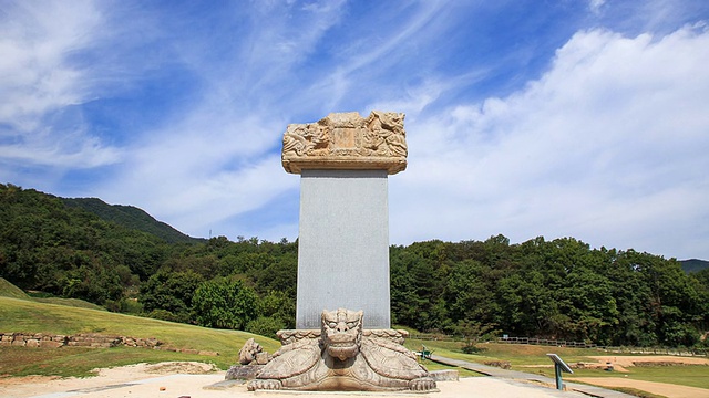 拍摄的是Wonjongdaesahyejintapbi(纪念石，韩国珍宝6号)和Godalsaji寺遗址的树视频素材