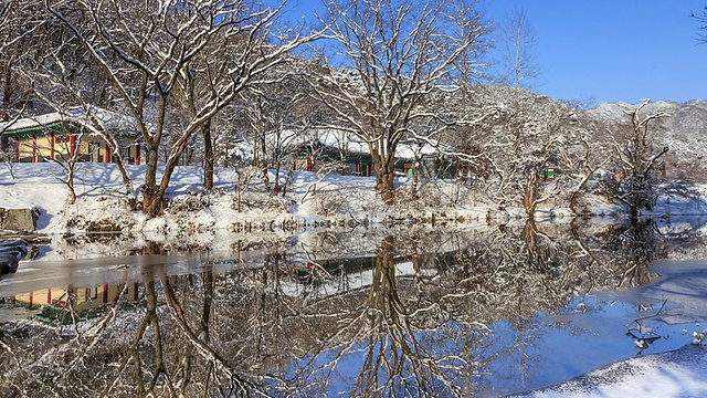 马苟萨寺的雪景和树枝上的雪视频素材