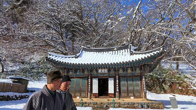 明不全(Chungcheongnam-do Korea Cultural Assets Data 64)的雪景和麻谷寺的树枝上的雪视频素材