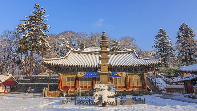 大云宝泉(主祠，韩国宝801)和麻谷寺石塔(韩国宝799)的雪景视频素材