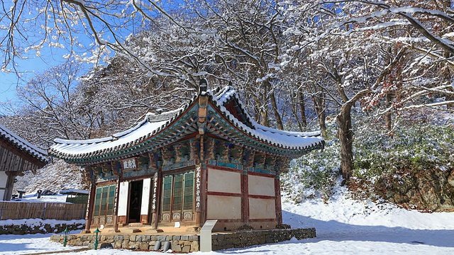 明不全(Chungcheongnam-do Korea Cultural Assets Data 64)的雪景和麻谷寺的树枝上的雪视频素材