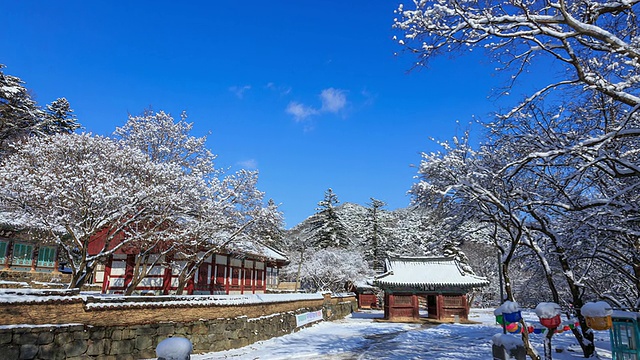 韩塔门(Chungcheongnam-do Korea Cultural Assets Data 66)和永山全(Youngsanjeon) (Korea Treasure 800)麻谷寺雪景视频素材