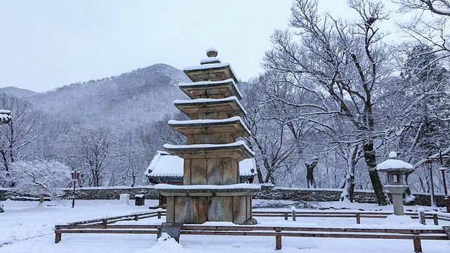 雪景的Geungnakjeon(天堂大厅，韩国宝藏356)和Ocheungseoktap(石塔，韩国宝藏185)和Seokdeung(石灯，韩国宝藏233)在Muryangsa寺视频素材