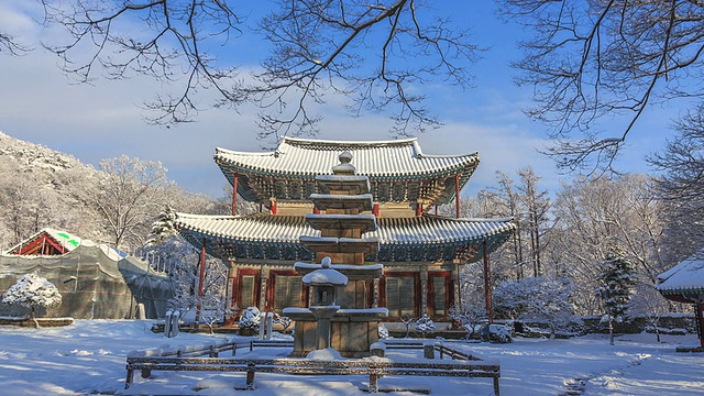 雪景的Geungnakjeon(天堂大厅，韩国宝藏356)和Ocheungseoktap(石塔，韩国宝藏185)和Seokdeung(石灯，韩国宝藏233)在Muryangsa寺视频素材