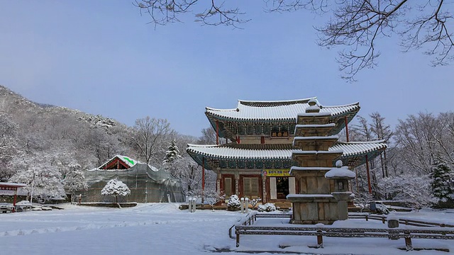 雪景的Geungnakjeon(天堂大厅，韩国宝藏356)和Ocheungseoktap(石塔，韩国宝藏185)和Seokdeung(石灯，韩国宝藏233)在Muryangsa寺视频素材