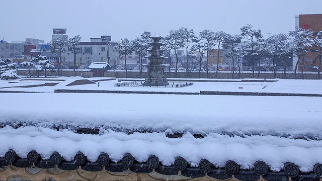 Jeongnimsajiocheungseoktap(石塔，韩国国宝9号)在Jeongnimsa寺遗址的雪景视频素材