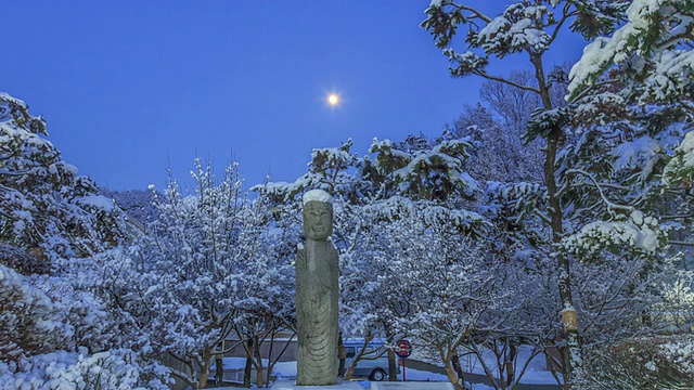 布约国家博物馆立石佛雪景视频素材