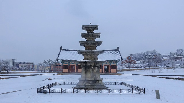 Jeongnimsajiocheungseoktap(石塔，韩国国宝9号)在Jeongnimsa寺遗址的雪景视频素材