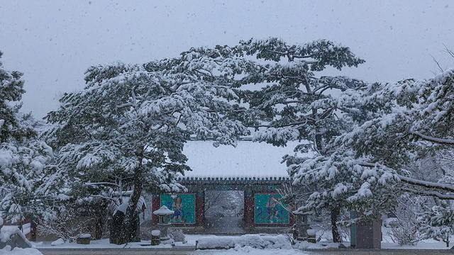 Sudeoksa寺的Sacheonwangmun门(佛教四大守护天堂)的雪景视频素材