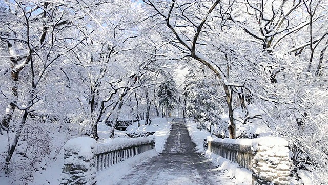 慕阳寺的小路和树枝上都有雪视频素材