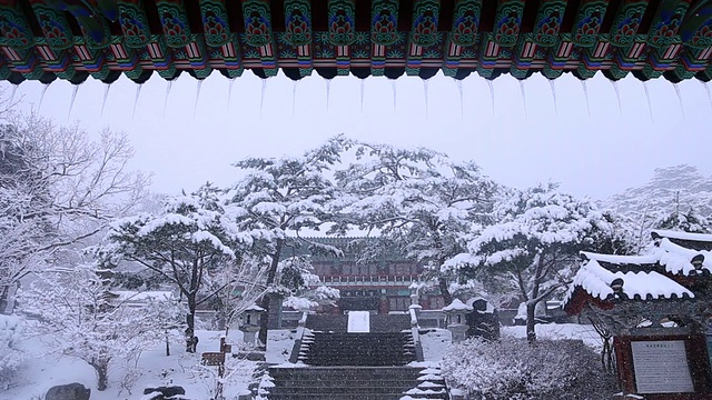 金刚门的雪景和Sudeoksa寺的台阶视频素材