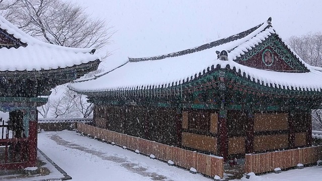 苏代克萨神庙屋顶瓦上的雪景视频素材