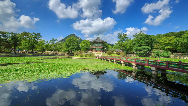 摄于景福宫的香原亭(韩国珍宝1761)和水上花园视频素材