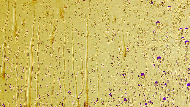 雨滴落在窗户上视频素材