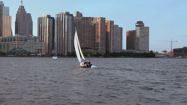 在多伦多海滨的安大略湖上的帆船视频下载