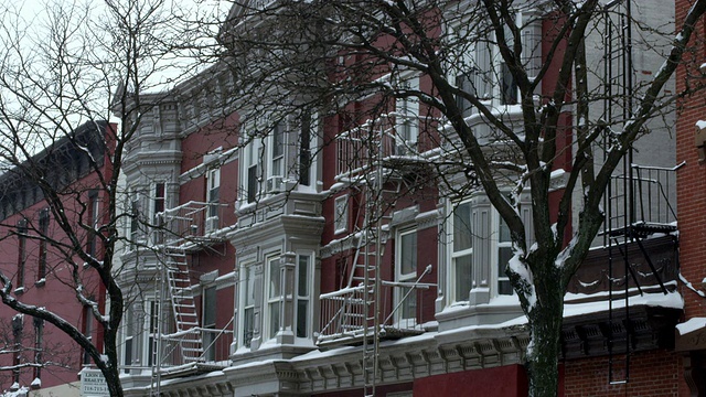 下雪天在公园坡布鲁克林视频素材