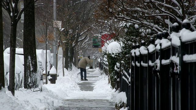 下雪天在公园坡布鲁克林。视频素材