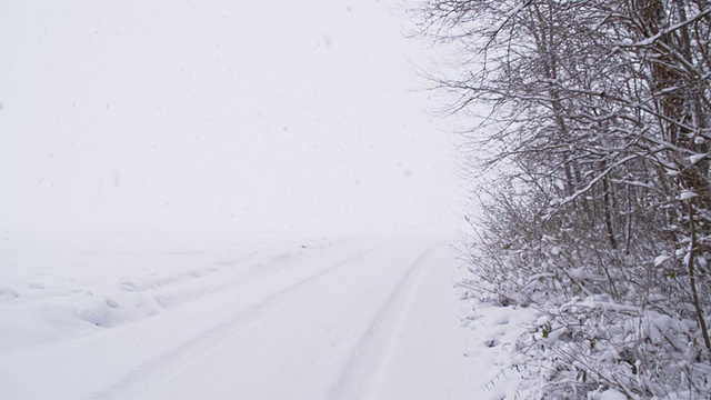 缓慢莫雪覆盖的道路沿森林视频素材