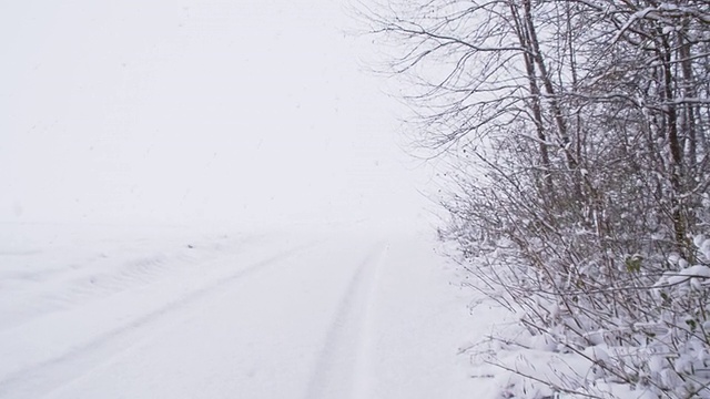 SLO MO雪路上的森林视频素材