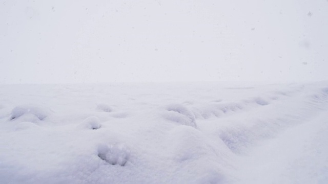 SLO MO雪覆盖的道路沿着田野视频素材