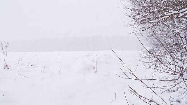 慢动作雪覆盖的田野视频素材