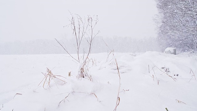 慢动作乡村雪视频素材