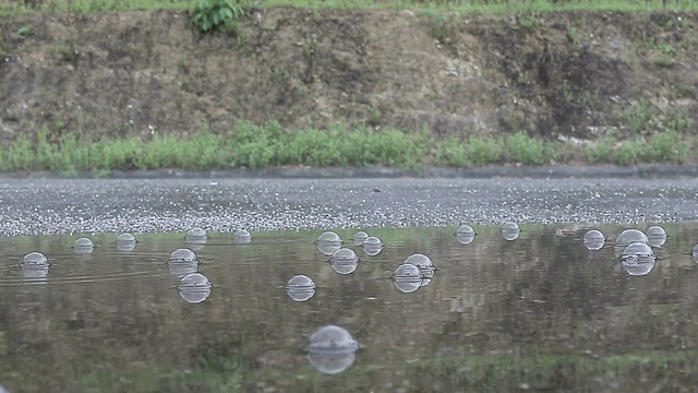 雨落视频素材