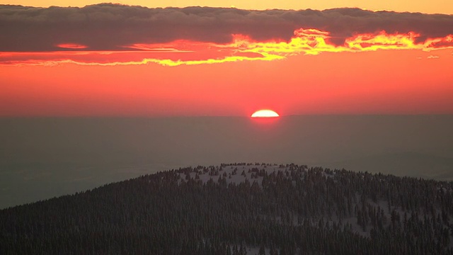 夕阳时光流逝爱情幸福树视频素材