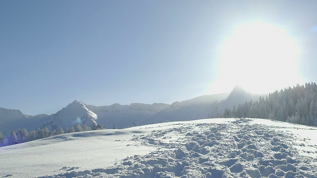 一对老年夫妇在冬天拄着滑雪杖在雪地里散步视频素材