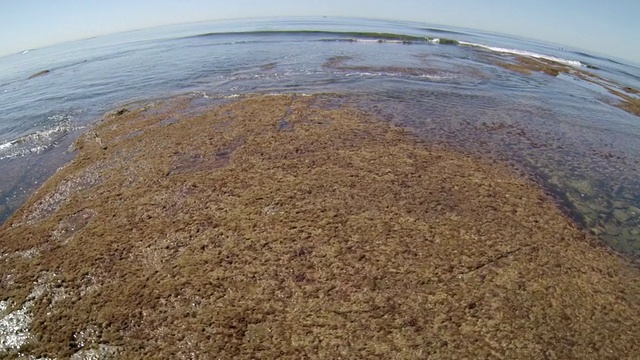 MS POV LA日落时海浪冲击海滩上的悬崖/圣地亚哥，加利福尼亚，美国视频素材