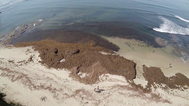 MS POV SLO MO在海滩/圣地亚哥悬崖地区拍摄，加利福尼亚州，美国视频素材