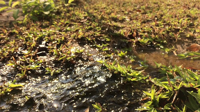 花园水龙头漏水视频素材