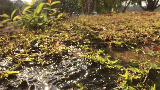 花园水龙头漏水视频素材