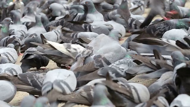 “在那里视频素材