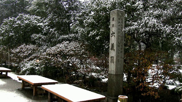 陆厂花园冬天下雪了视频素材