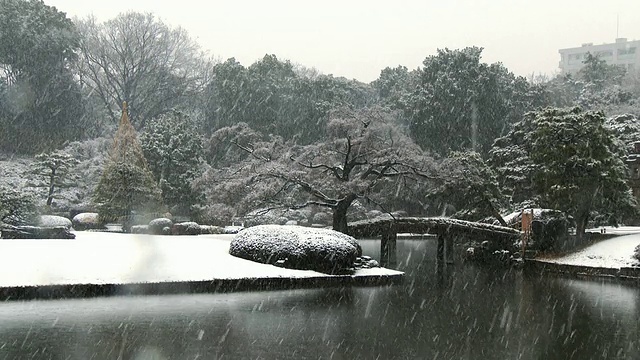 近陆厂花园冬天的雪视频素材