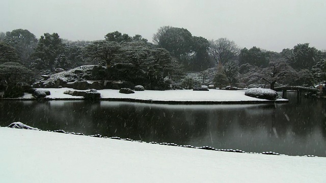 陆厂花园冬天下雪了视频素材