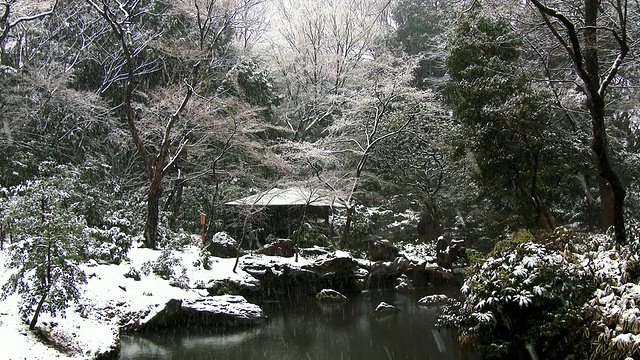 日本陆厂花园的冬季景色视频素材