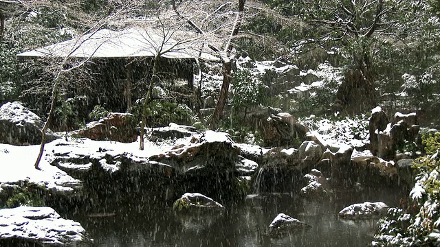 近距离观看日本陆厂花园的冬季景色视频素材