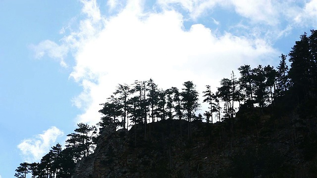 山顶林木面积视频素材