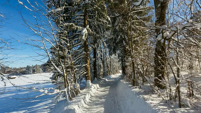 超速驾驶:在冬天，驾车行驶在被雪覆盖的乡村森林道路上视频素材