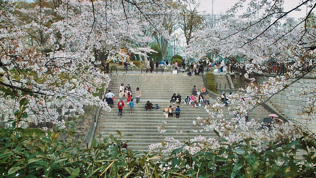 名古屋，坐在山崎河边楼梯上的人们视频素材