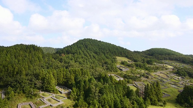 摄于火山锥的树木区域(韩国自然纪念碑444)视频素材