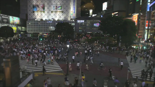 夜间涉谷穿越时间流逝视频素材