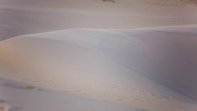 Sts_fln_103 dunes - joaquina海滩视频素材