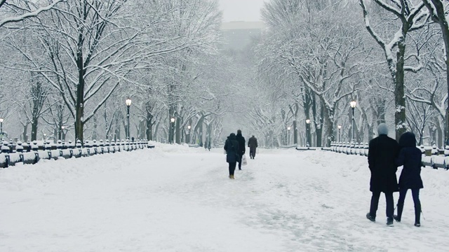 人们在暴风雪期间沿着中央公园的购物中心散步视频素材